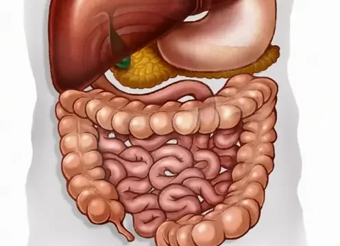 Gastroenterology